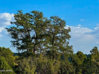 Parcel #50231218 - Thumbnail 17