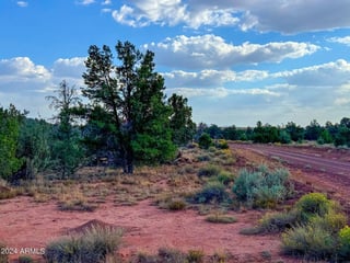 Parcel #50231218 - Thumbnail 12