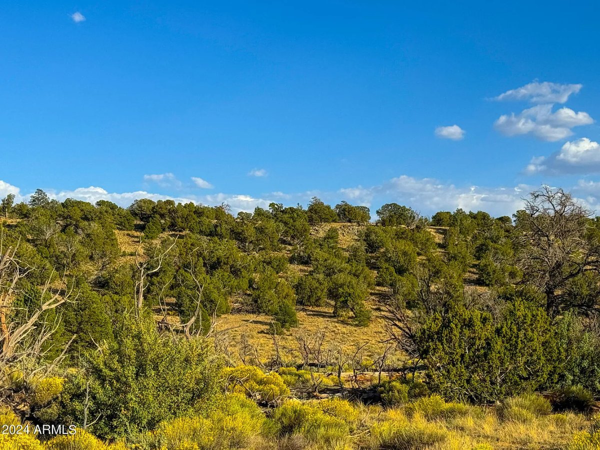 Parcel #50231218 - Image 14