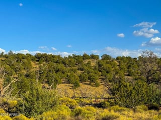 Parcel #50231218 - Thumbnail 14