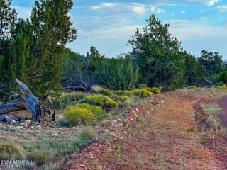 Parcel #50231218 - Thumbnail 18