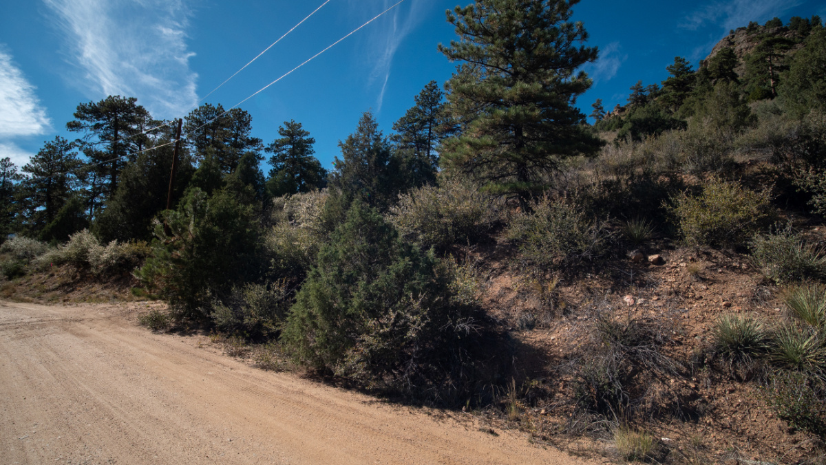 Parcel #18701 - Image 13