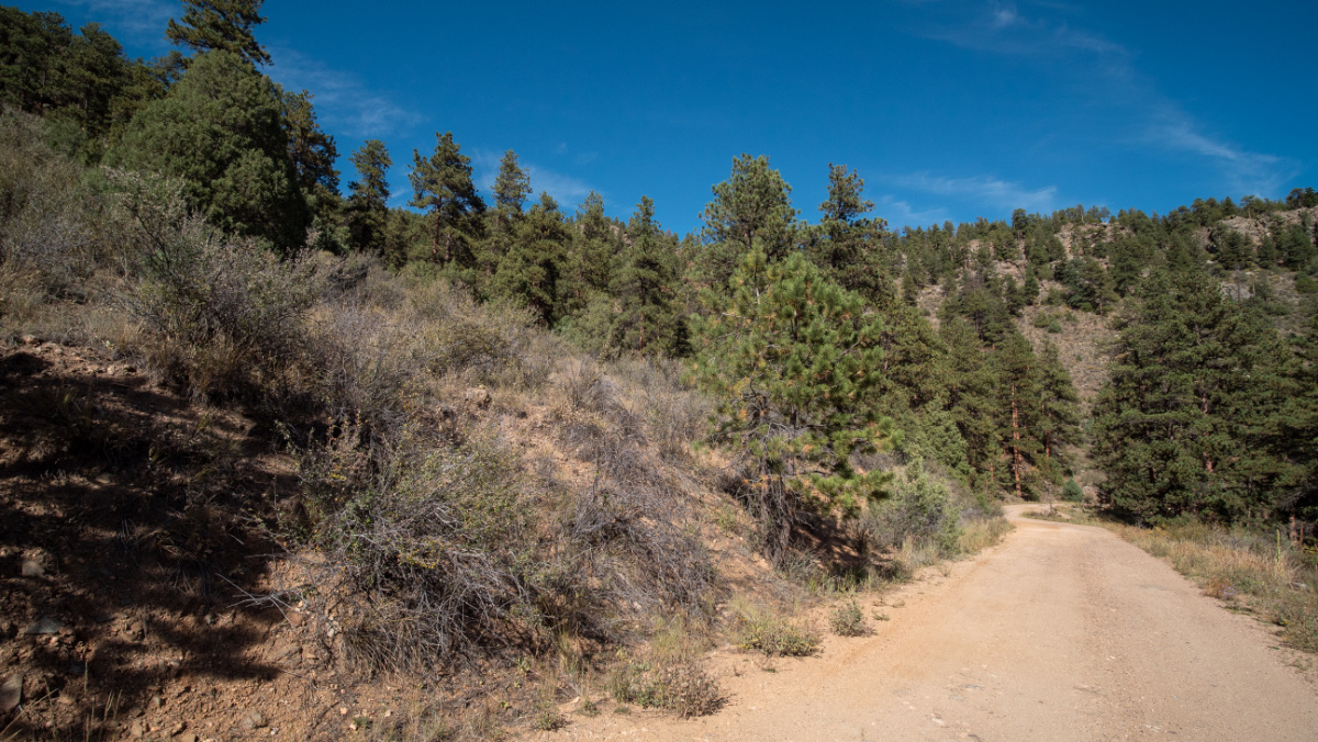 Parcel #18701 - Image 15