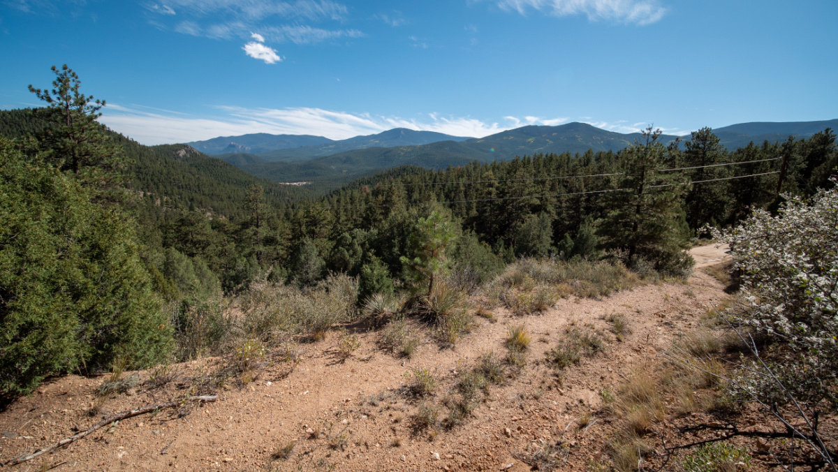 Parcel #18701 - Image 12