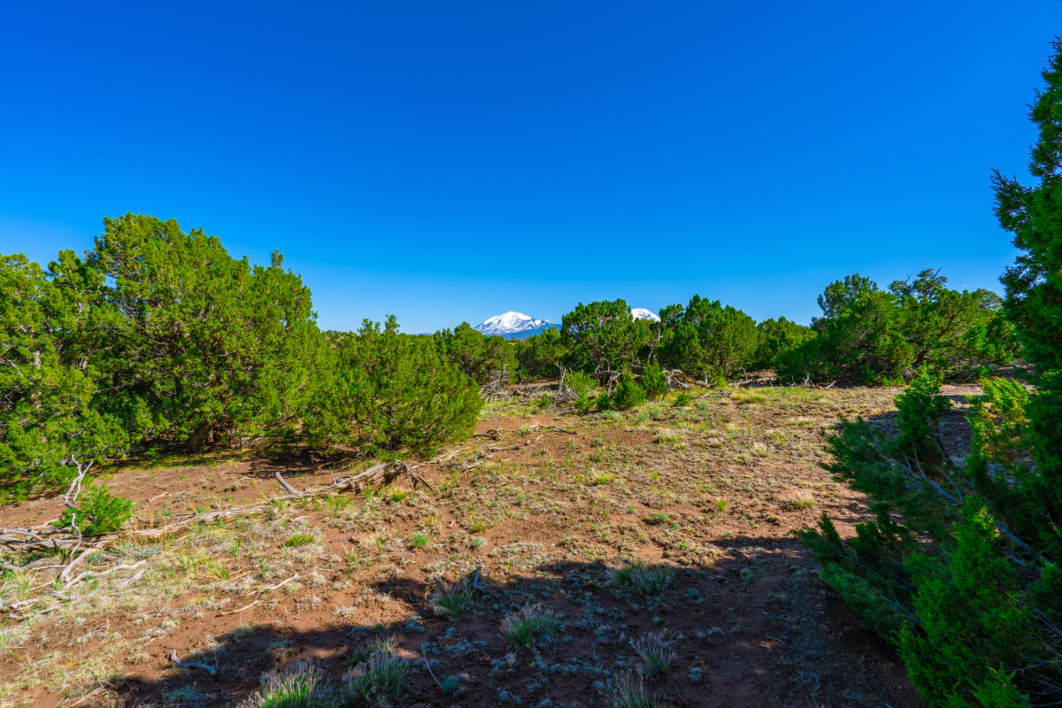 Parcel #21042 - Image 8