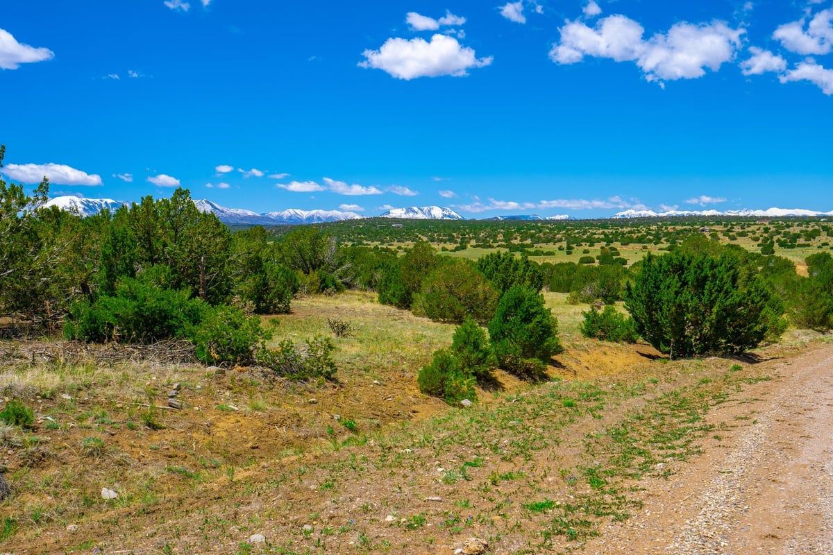 Parcel #33395119 - Image 3