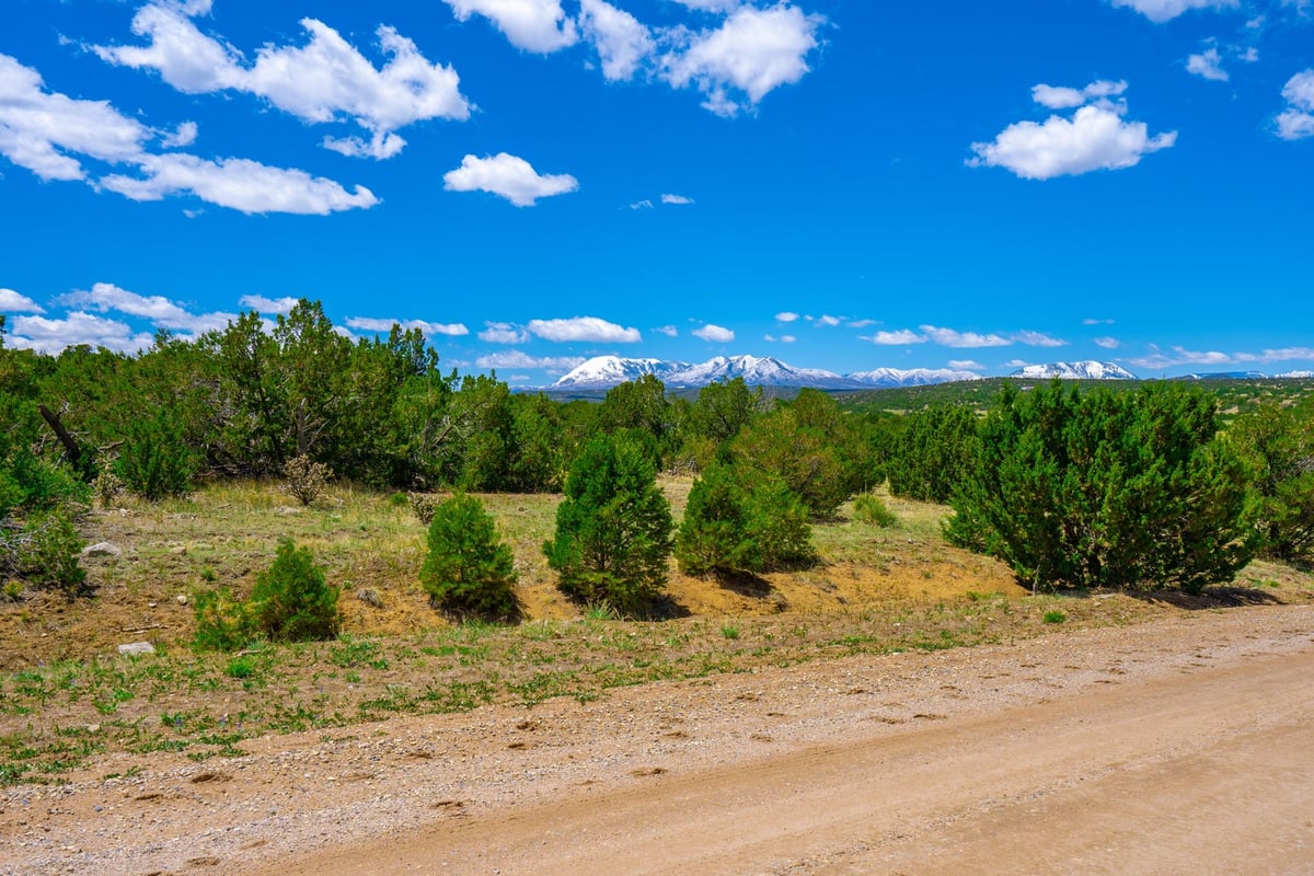 Parcel #33395119 - Image 11