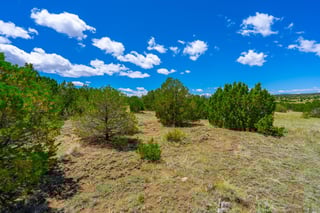 Parcel #33395119 - Thumbnail 5