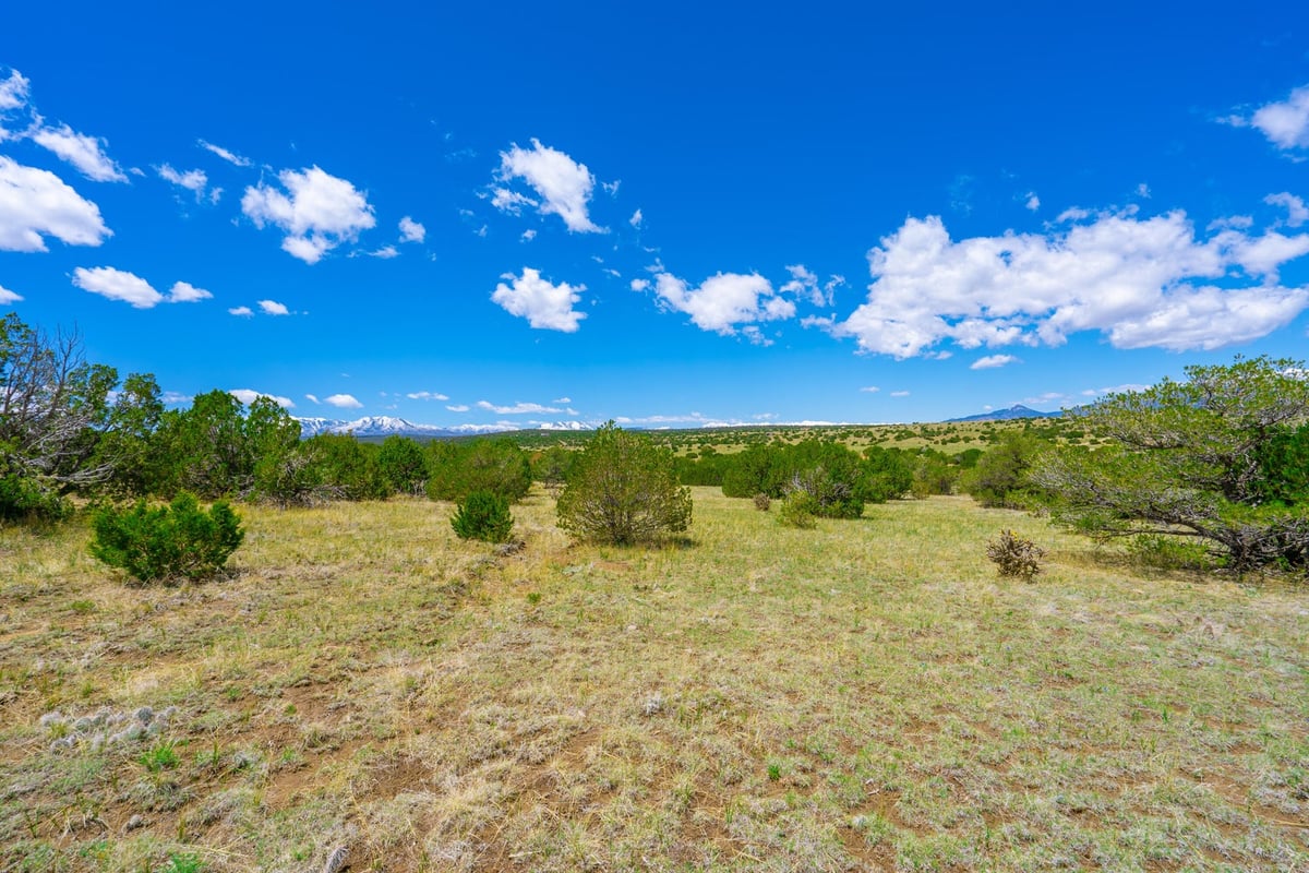 Parcel #33395119 - Image 10