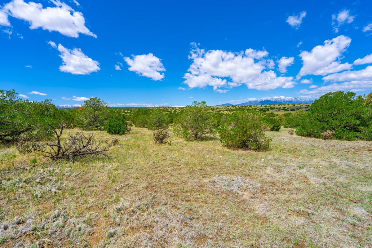 Parcel #33395119 - Image 8