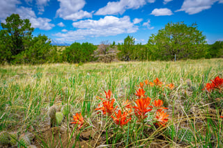 Parcel #33395119 - Thumbnail 1