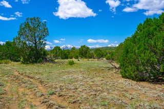 Parcel #33395119 - Thumbnail 4