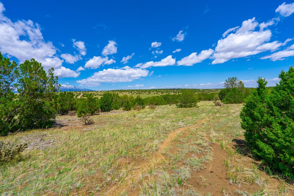 Parcel #33395119 - Image 15