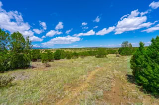 Parcel #33395119 - Thumbnail 15