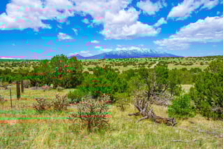 Parcel #33395119 - Thumbnail 2