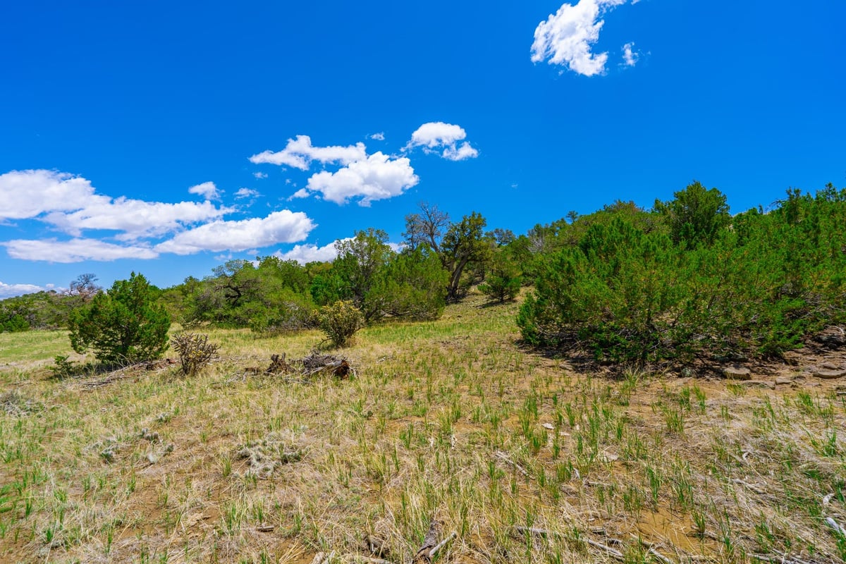 Parcel #33395119 - Image 17