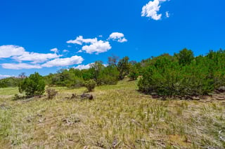 Parcel #33395119 - Thumbnail 17