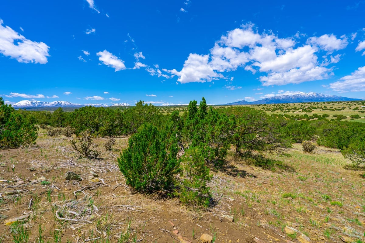 Parcel #33395119 - Image 18