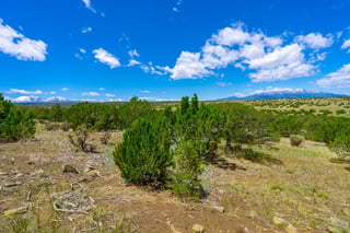 Parcel #33395119 - Thumbnail 18