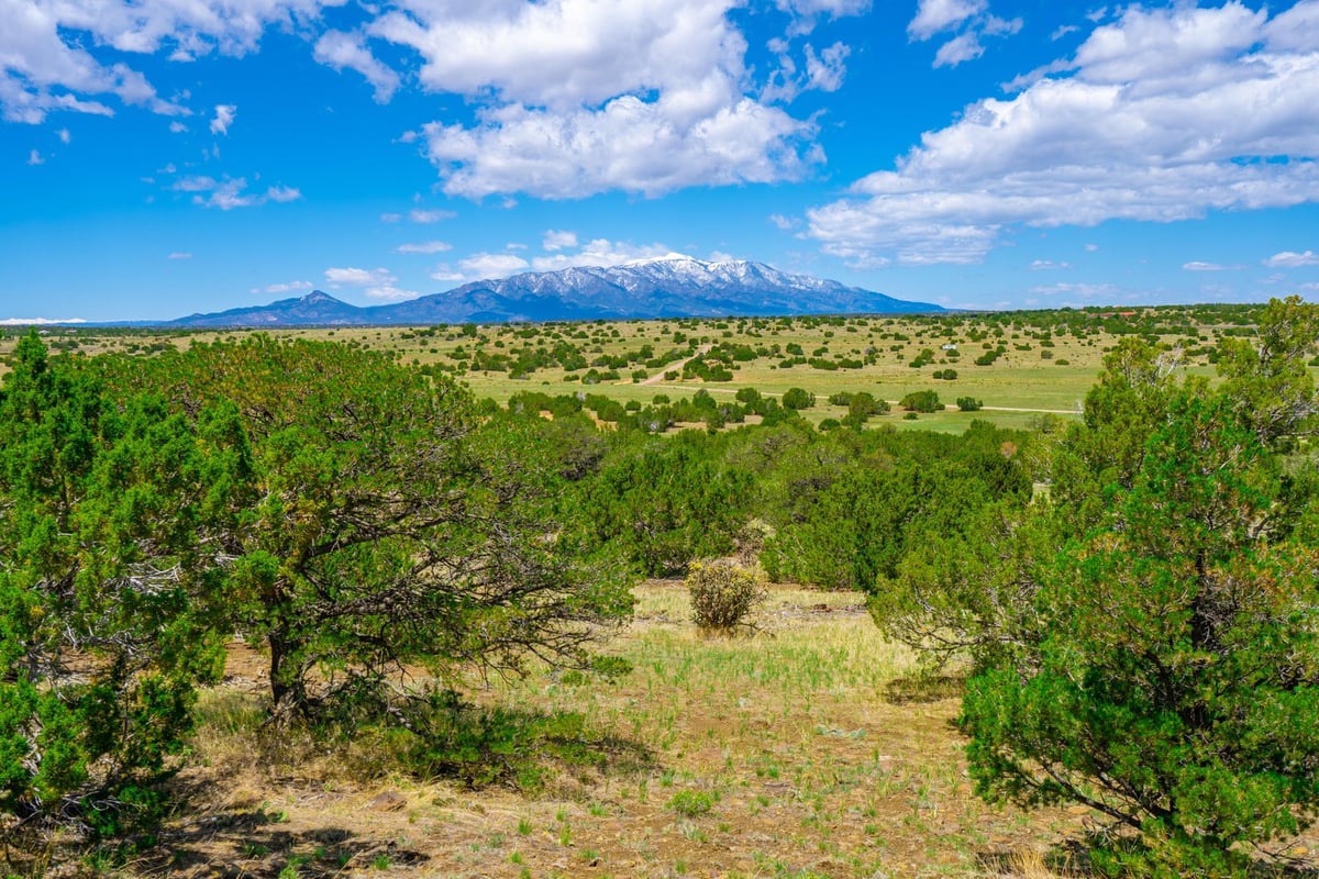 Parcel #33395119 - Image 7