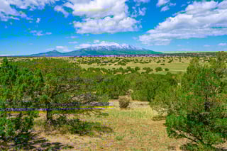 Parcel #33395119 - Thumbnail 7