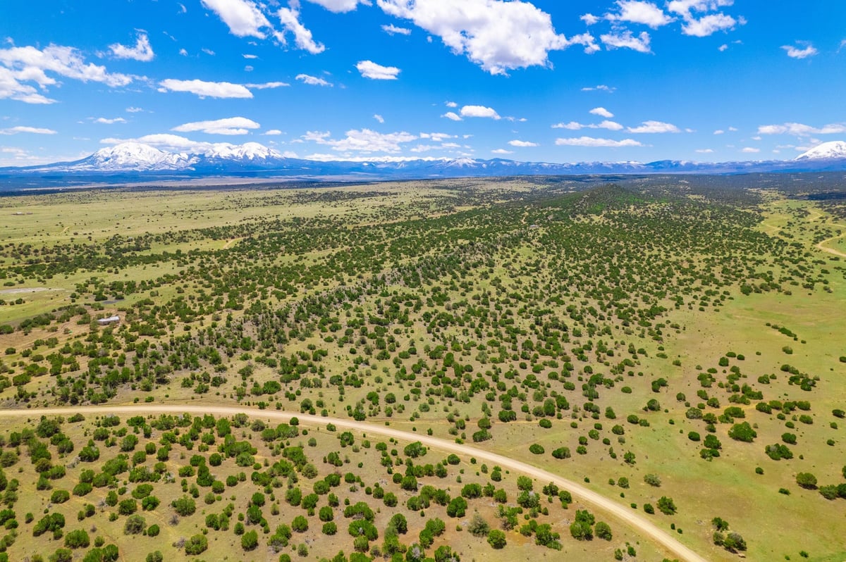 Parcel #33395119 - Image 14