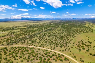 Parcel #33395119 - Thumbnail 14