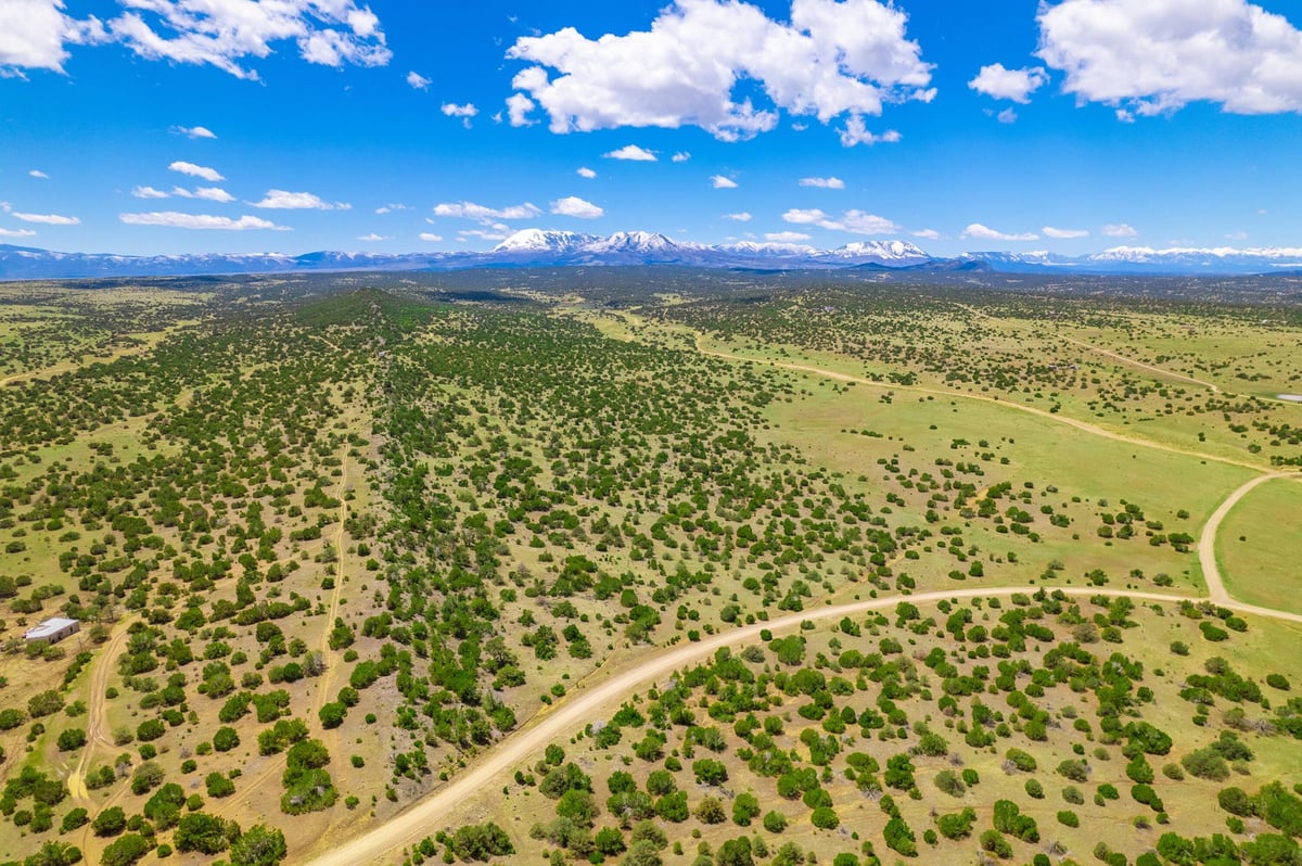 Parcel #33395119 - Image 6