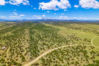 Parcel #33395119 - Thumbnail 6