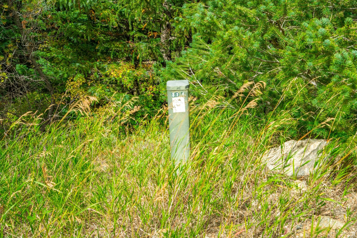 Parcel #N011833 - Image 12