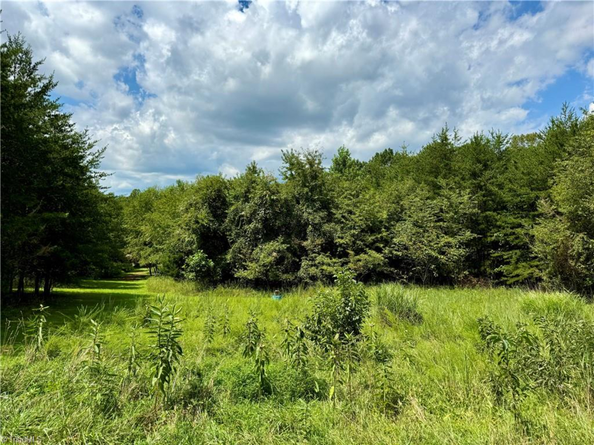 Parcel #598900636539, 598900631393, 598900635041 - Lot 1 - Image 9