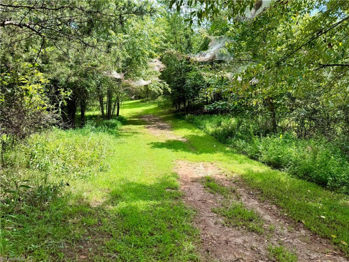 Parcel #598900636539, 598900631393, 598900635041 - Lot 1 - Image 6