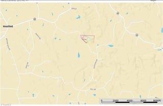 Parcel #598900636539, 598900631393, 598900635041 - Lot 5 - Thumbnail 20