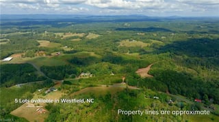 Parcel #598900636539, 598900631393, 598900635041 - Lot 5 - Thumbnail 4