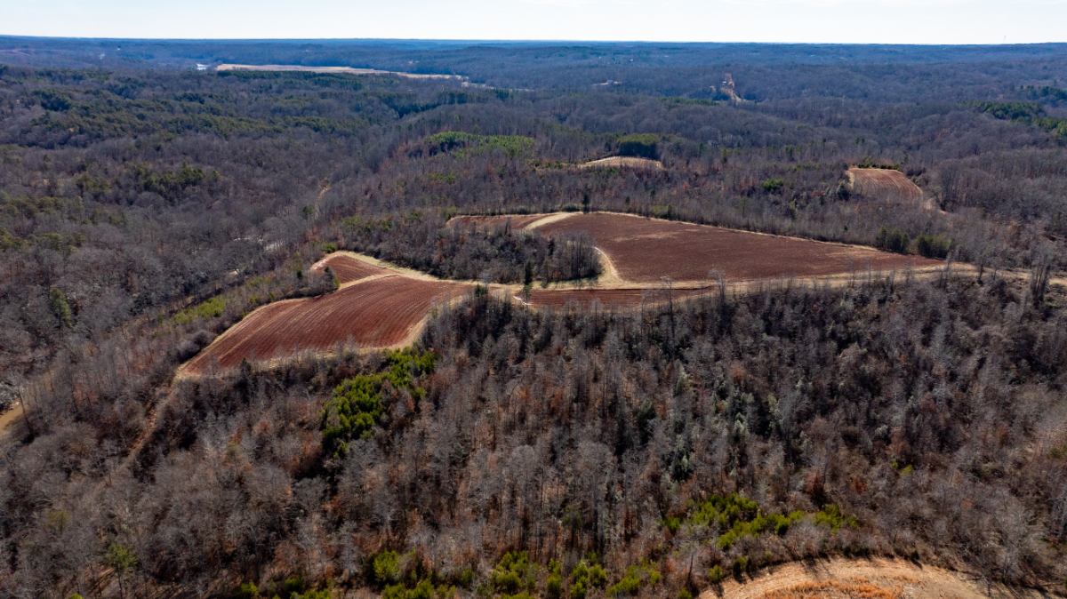 Parcel #5971-13-4558.000 (5971134558) - Lot 14 - Image 9