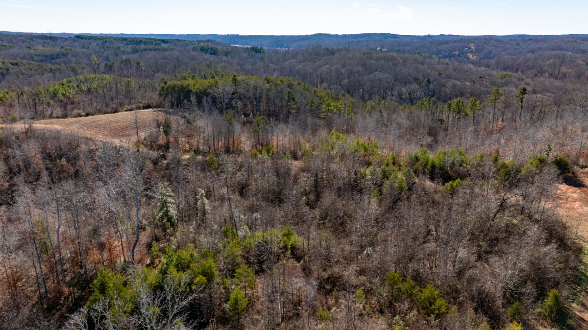 Parcel #5971-13-4558.000 (5971134558) - Lot 14 - Image 16