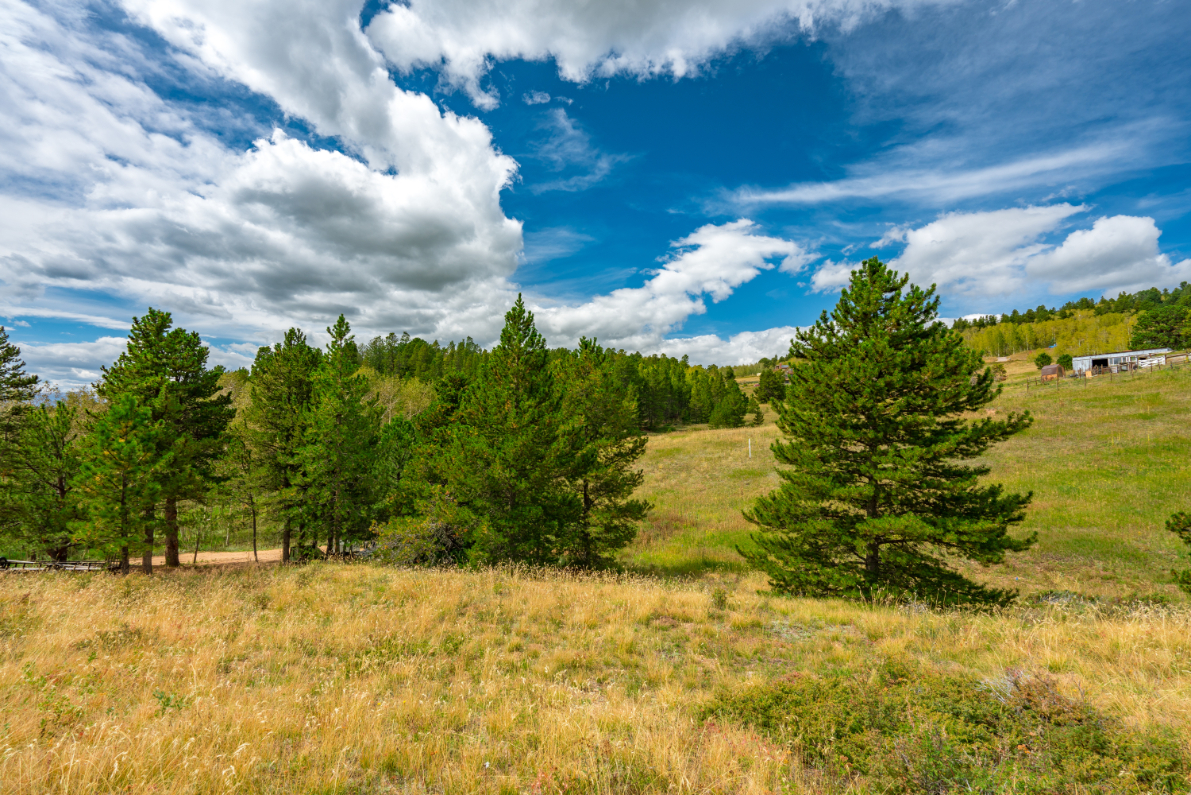 Parcel #R002914 - Image 17