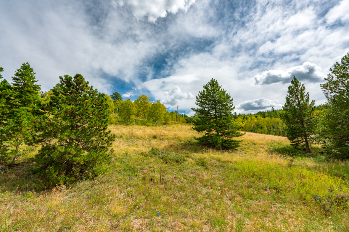 Parcel #R002914 - Image 18