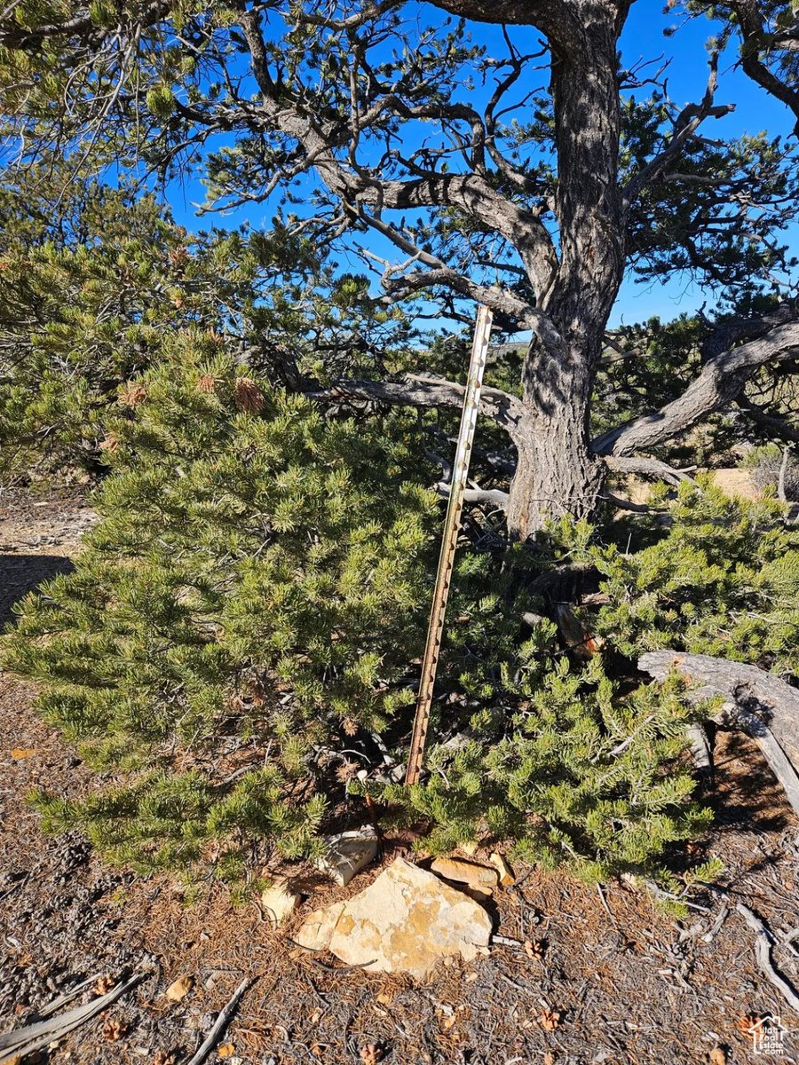 Parcel #00-0009-9634 - Image 19