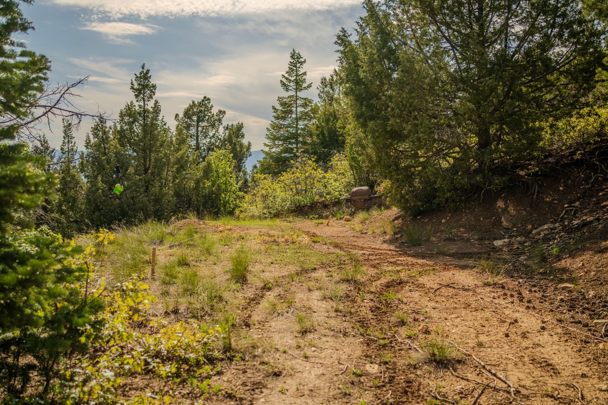 Parcel #32001 - Image 9