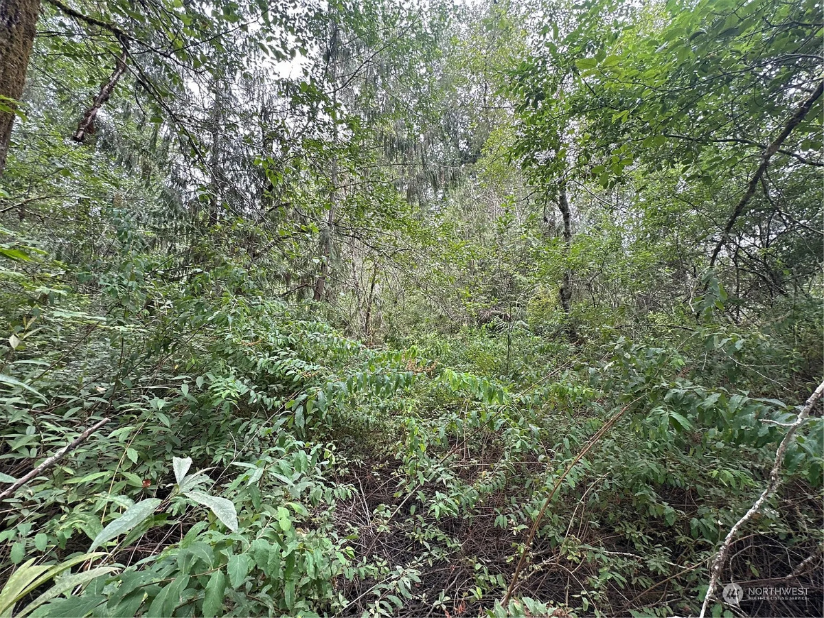 Parcel #0217027017 - Image 9