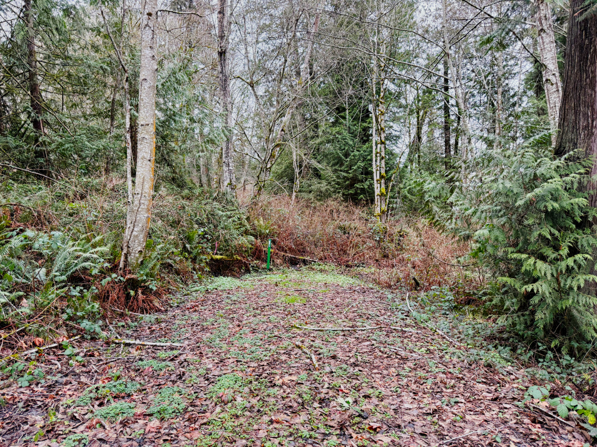 Parcel #23250140892005 - Image 6