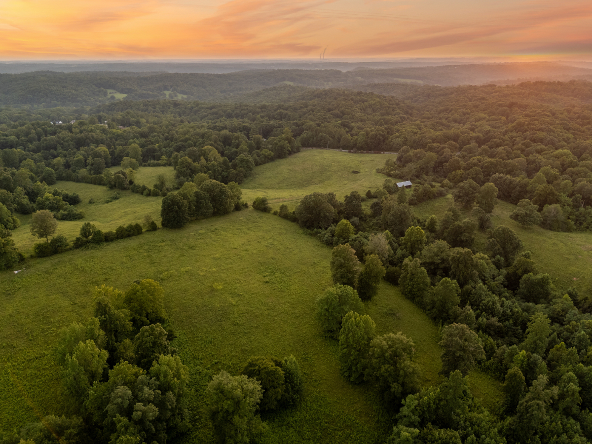 Parcel #135-043.00 Montgomery TN - Lot 3 - Image 12