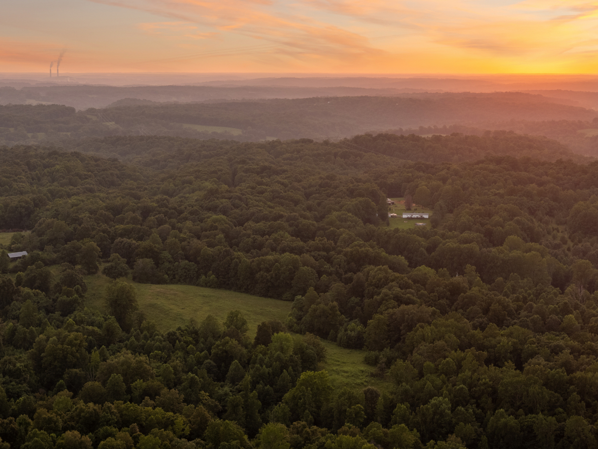 Parcel #135-043.00 Montgomery TN - Lot 3 - Image 13