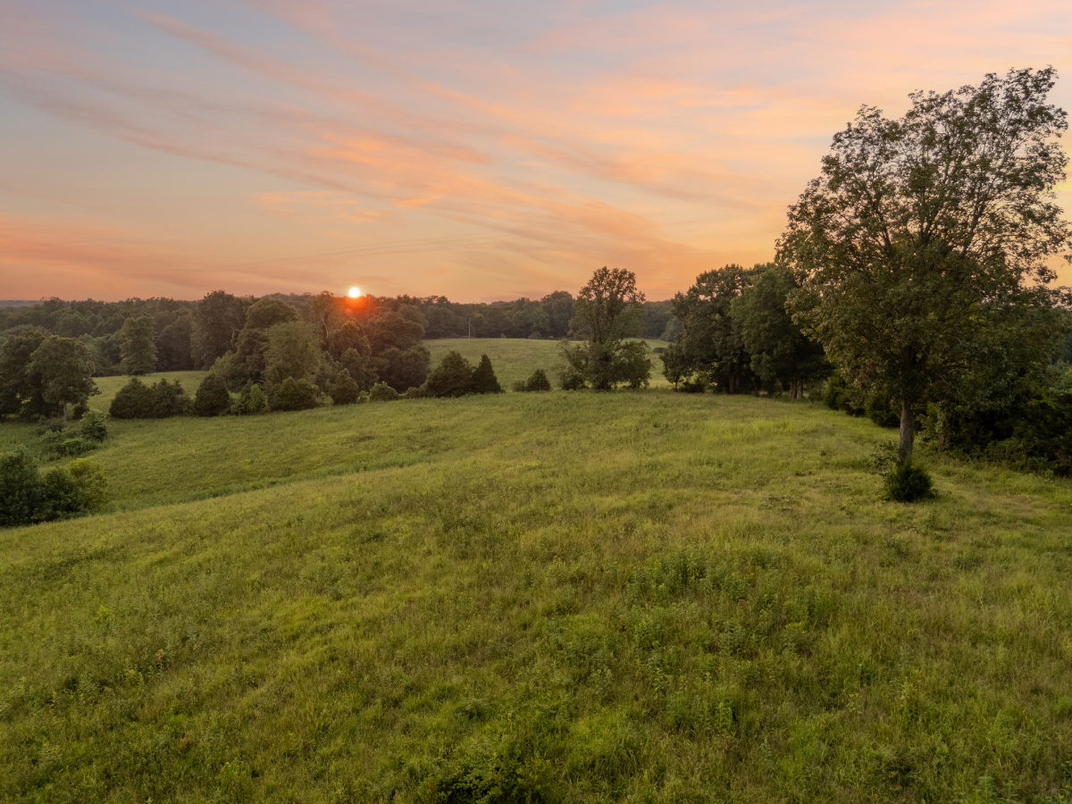 Parcel #135-043.00 Montgomery TN - Lot 3 - Image 6