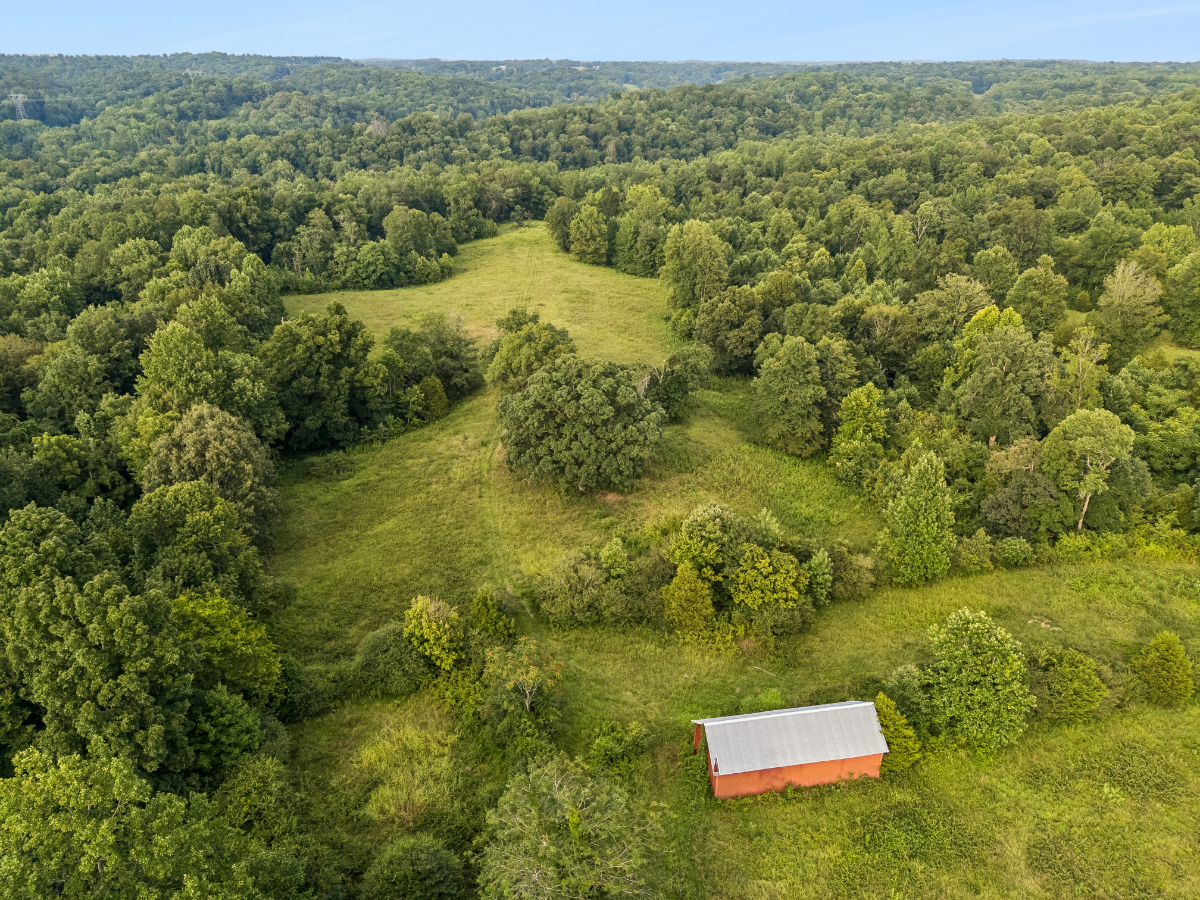 Parcel #135-043.00 Montgomery TN - Lot 3 - Image 3