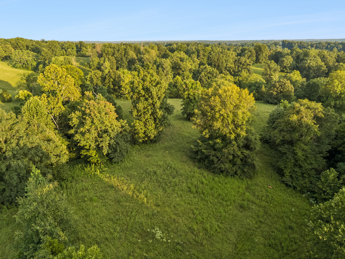 Parcel #135-043.00 Montgomery TN - Lot 3 - Image 4