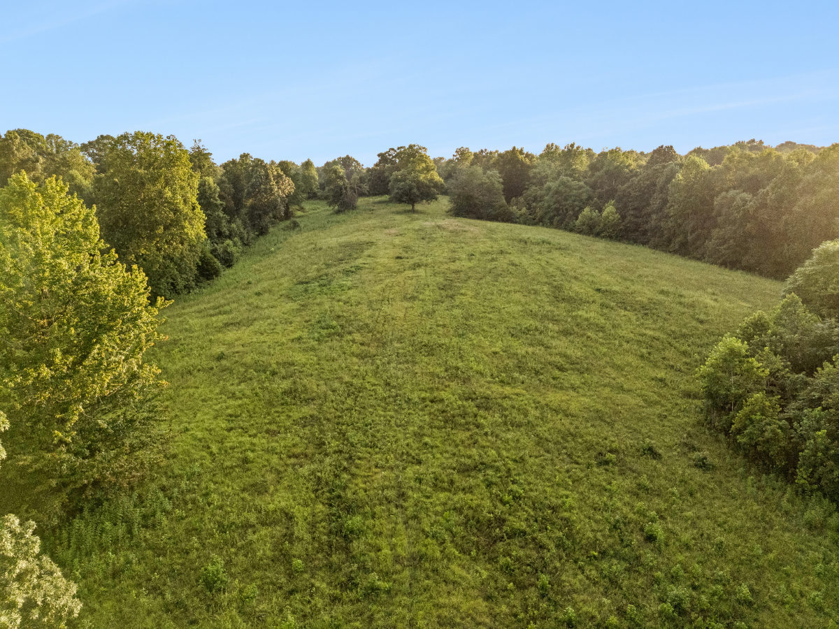 Parcel #135-043.00 Montgomery TN - Lot 3 - Image 10