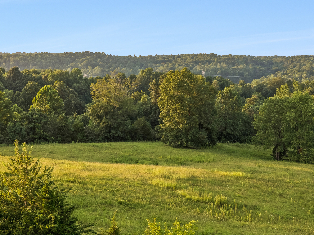 Parcel #135-043.00 Montgomery TN - Lot 3 - Image 11