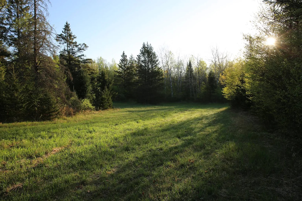 Parcel #028-101510000 - Image 17